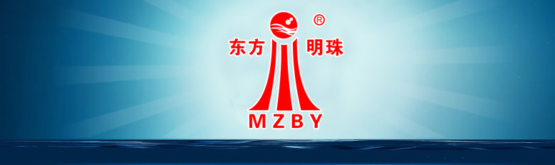 湖北臻潤(rùn)環(huán)境科技股份有限公司-官網(wǎng)