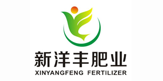 新洋豐